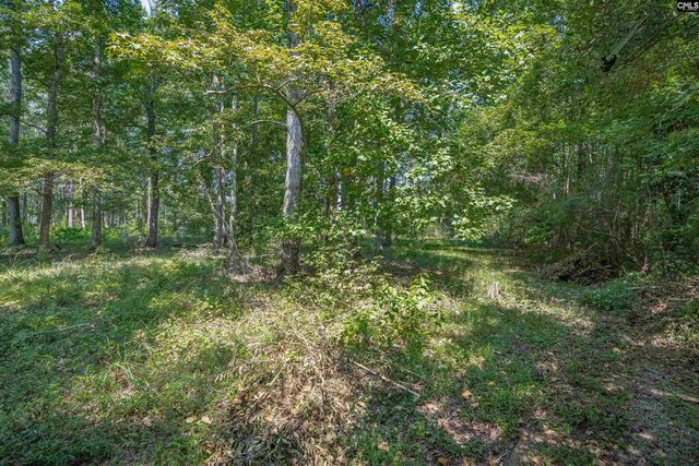 114 Mallard Landing Way, Columbia, SC 29209