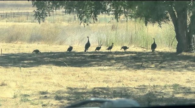 13160 Cienega Road, Hollister, CA 95023