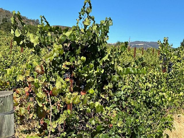 13160 Cienega Road, Hollister, CA 95023