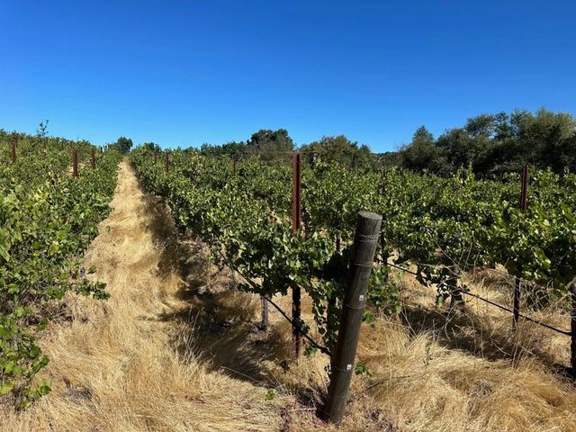 13160 Cienega Road, Hollister, CA 95023