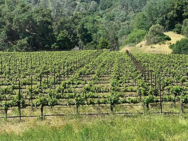 13160 Cienega Road, Hollister, CA 95023