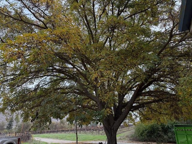 13160 Cienega Road, Hollister, CA 95023