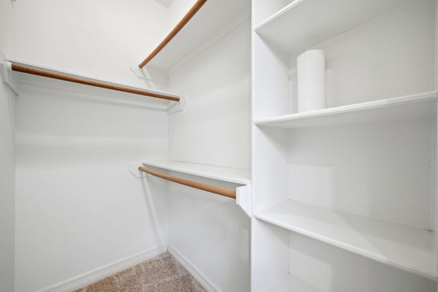 17114 Wunder Hill Drive, Spring, TX 77379