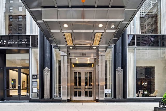 159 E Walton Place 34A, Chicago, IL 60611