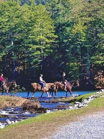 LT1321 Coachwhip Trail, Jasper, GA 30143