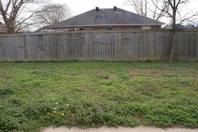 3335 Appomattox Drive, Conway, AR 72032