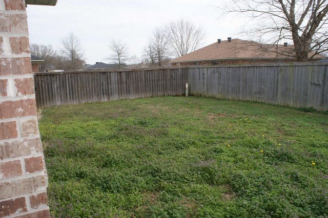 3335 Appomattox Drive, Conway, AR 72032