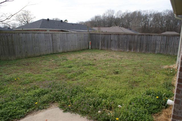 3335 Appomattox Drive, Conway, AR 72032