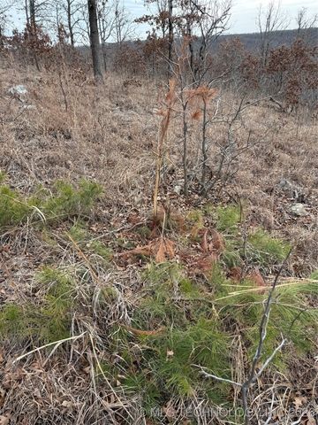 98893 S 4540 Road, Vian, OK 74962