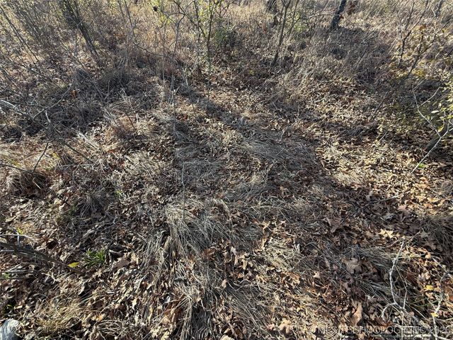 98893 S 4540 Road, Vian, OK 74962