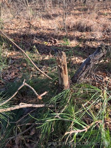 98893 S 4540 Road, Vian, OK 74962