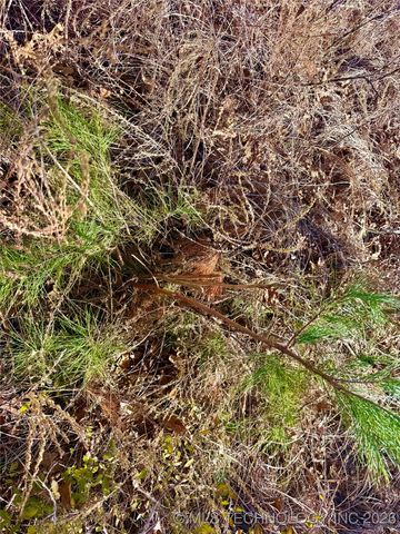 98893 S 4540 Road, Vian, OK 74962