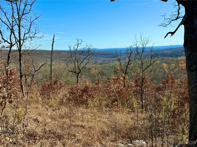 98893 S 4540 Road, Vian, OK 74962