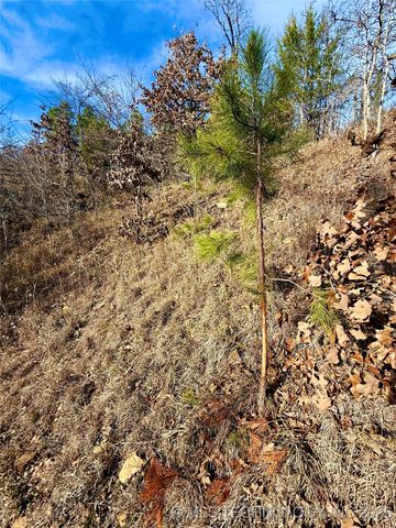 98893 S 4540 Road, Vian, OK 74962