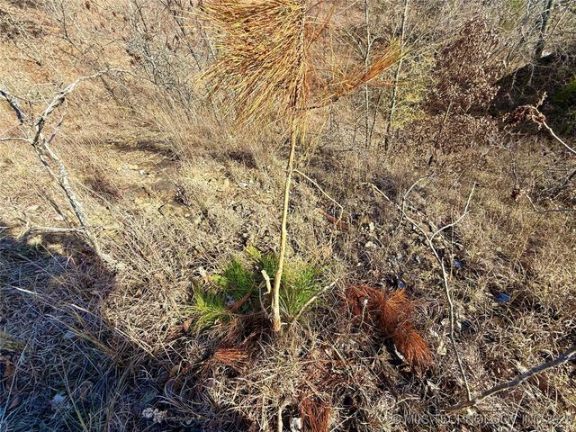 98893 S 4540 Road, Vian, OK 74962