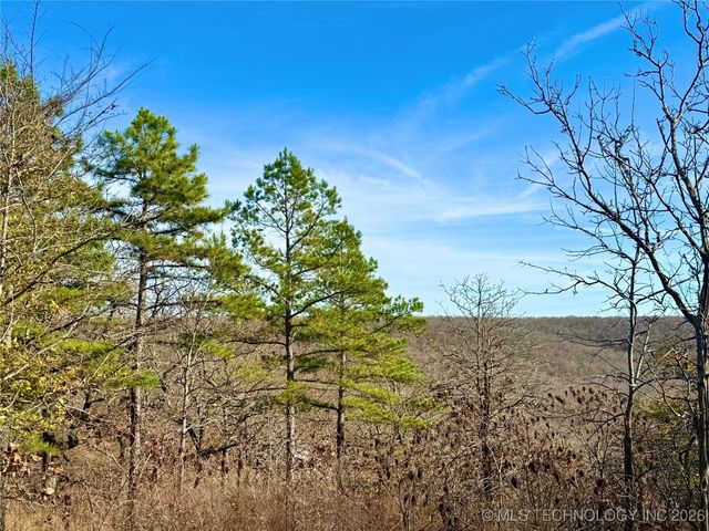98893 S 4540 Road, Vian, OK 74962