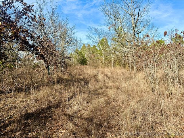 98893 S 4540 Road, Vian, OK 74962