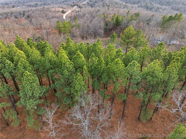 98893 S 4540 Road, Vian, OK 74962