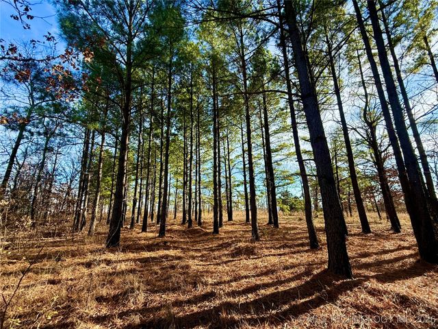 98893 S 4540 Road, Vian, OK 74962