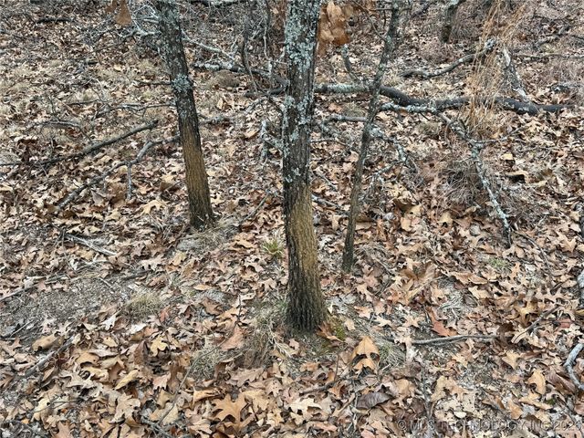 98893 S 4540 Road, Vian, OK 74962