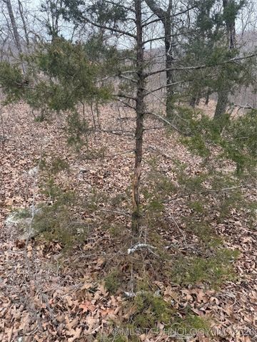 98893 S 4540 Road, Vian, OK 74962