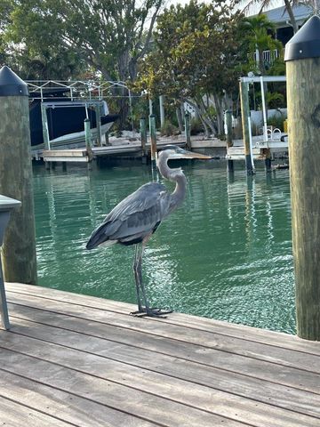 170 MOCKINGBIRD LANE, Englewood, FL 34223