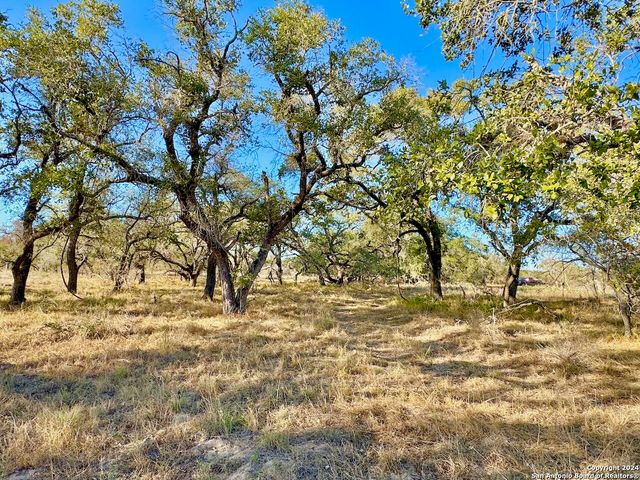66.69 AC CR 777, Devine, TX 78016