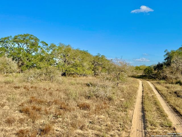 66.69 AC CR 777, Devine, TX 78016