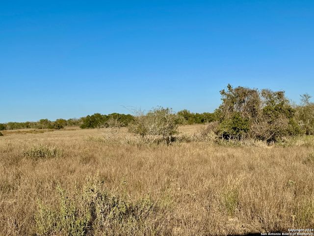 66.69 AC CR 777, Devine, TX 78016