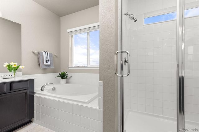 1428 Sidewinder Circle, Castle Rock, CO 80108