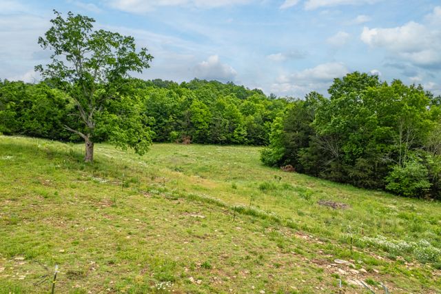 4187 Booker Farm Rd, Hampshire, TN 38461