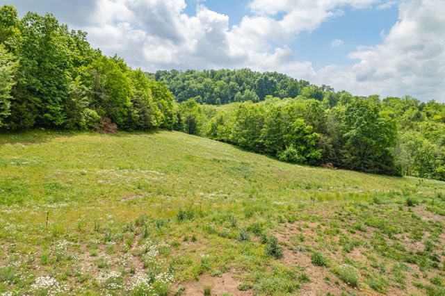 4187 Booker Farm Rd, Hampshire, TN 38461