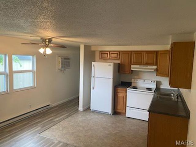 427 East Drive, Marissa, IL 62257