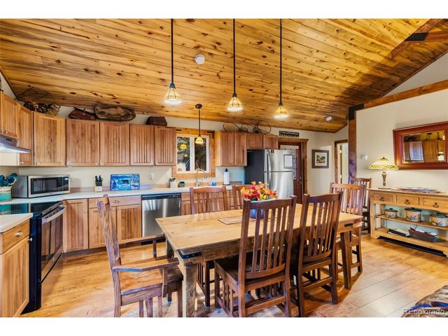 1416 Bonell Dr, Fairplay, CO 80440