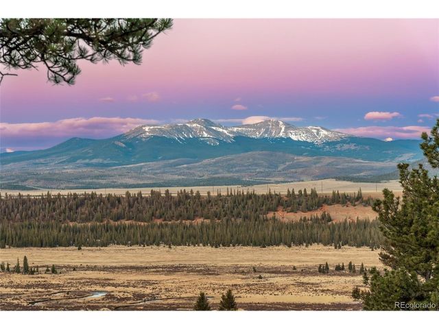 1416 Bonell Dr, Fairplay, CO 80440