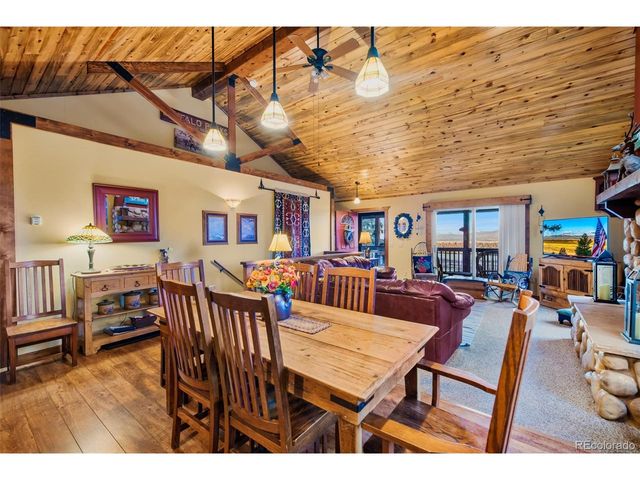 1416 Bonell Dr, Fairplay, CO 80440