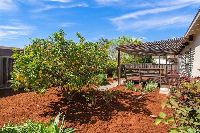 1165 Adams Drive, San Jose, CA 95132