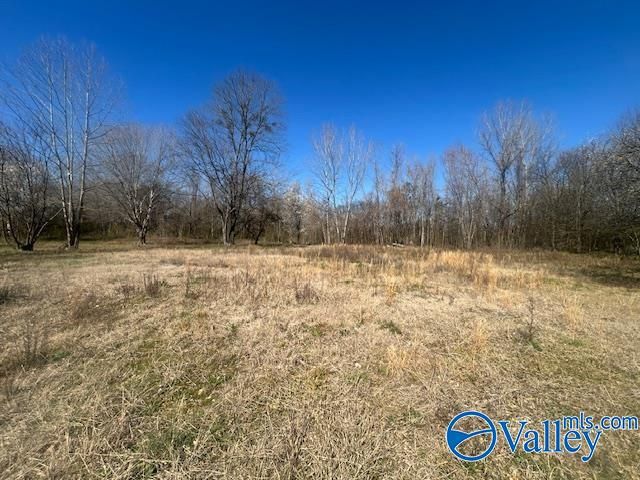 125 Riverdale Drive, Laceys Spring, AL 35754