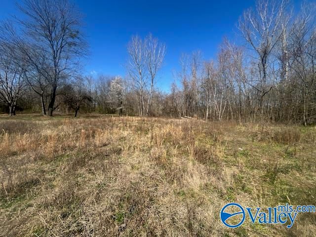 125 Riverdale Drive, Laceys Spring, AL 35754