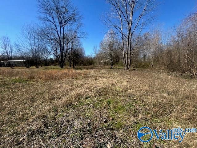 125 Riverdale Drive, Laceys Spring, AL 35754