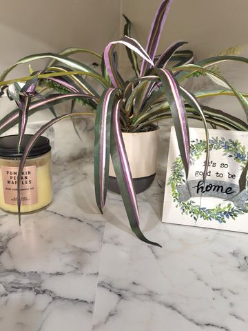 172 S Williams Street, Newark, OH 43055