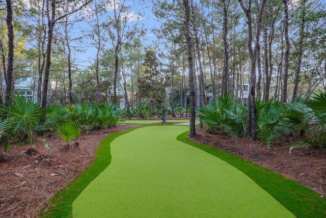 92 Coopersmith Lane, Inlet Beach, FL 32461