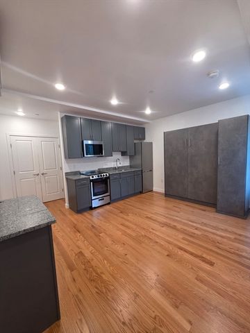 165 Hawthorne 106, Chelsea, MA 02150