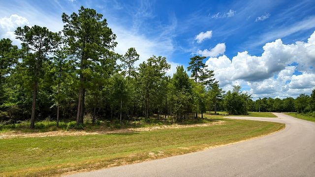 7625 Trinity Pines Dr, Montgomery, TX 77316