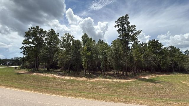 7625 Trinity Pines Dr, Montgomery, TX 77316