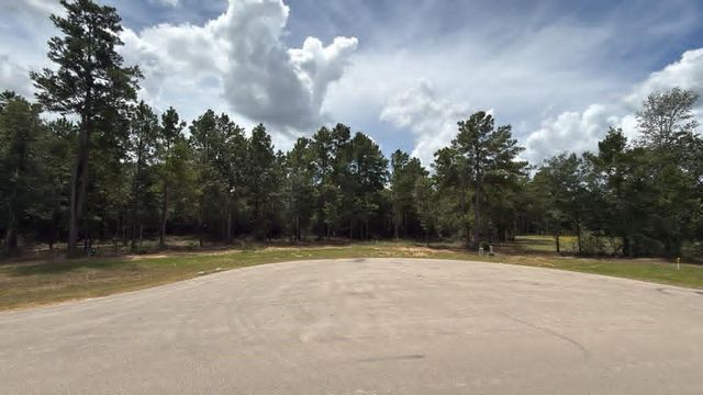 7625 Trinity Pines Dr, Montgomery, TX 77316