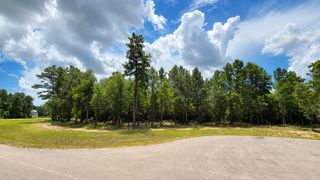 7625 Trinity Pines Dr, Montgomery, TX 77316