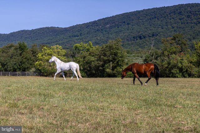 255 SHEAFFER RD, Carlisle, PA 17013