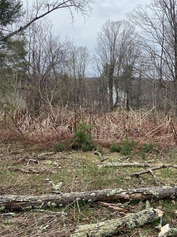 5232 Route 23A, Haines Falls, NY 12436