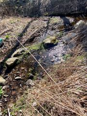 5232 Route 23A, Haines Falls, NY 12436